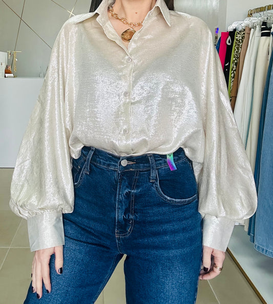 Metallic Ivory /Silver Blouse