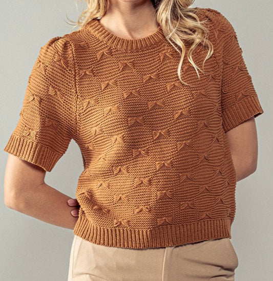 Camel Bow Stitch Knit  sweater