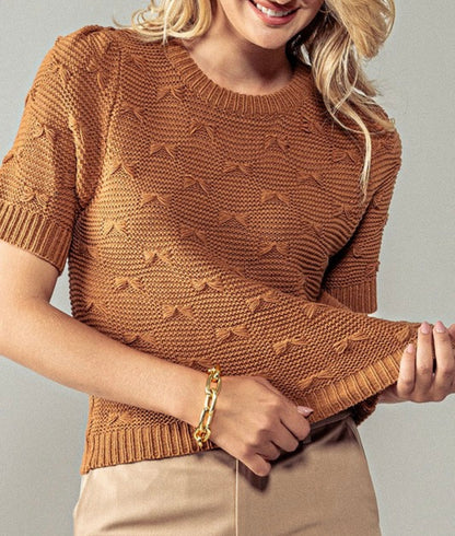 Camel Bow Stitch Knit  sweater