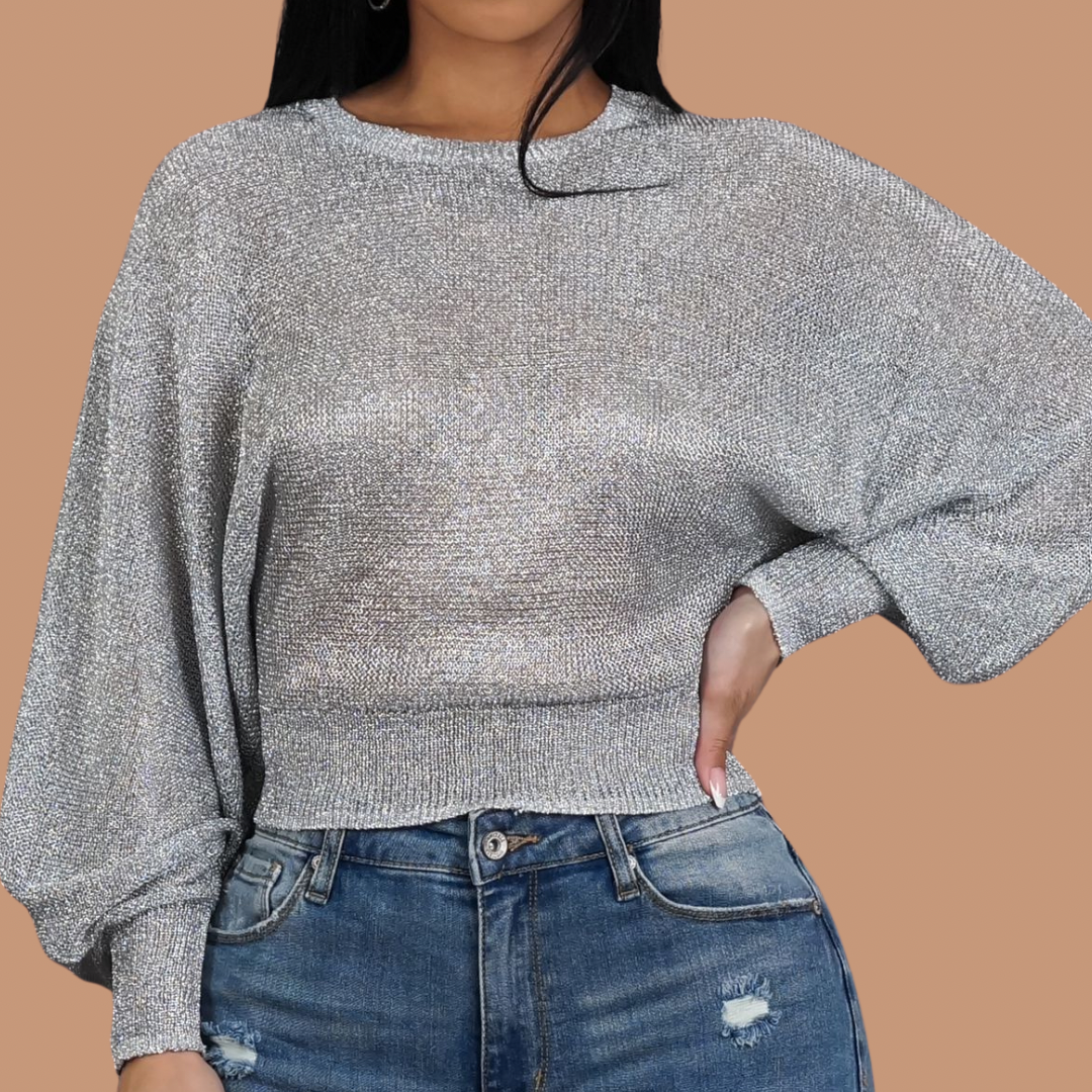 Silver Metallic Mesh Sweater